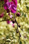 IMG_2998