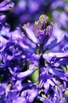 IMG_3050