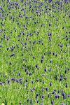 IMG_3053