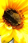 IMG_3056