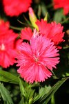 IMG_3057