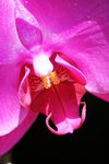 IMG_3058