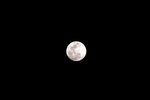 CRW_5913-Edit