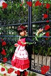 DSC02243