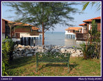 ���Ӧ��-�f�ڴ�resort.���}��