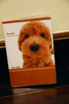 2009 Schedule BOok!! (from Logon)