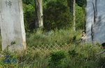 _LEO0051