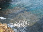 IMG_8608