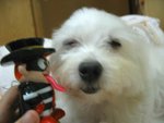 �վ�j�pIMG_2649