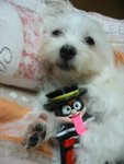 �վ�j�pIMG_2683