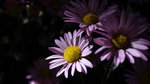 IMG_1871