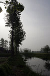 _S6H0150