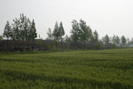 _S6H0168