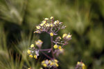 _S6H0170