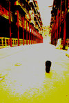 DPP_4