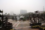 DPP_66