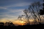 IMG_0218