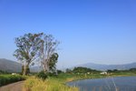 IMG_1417