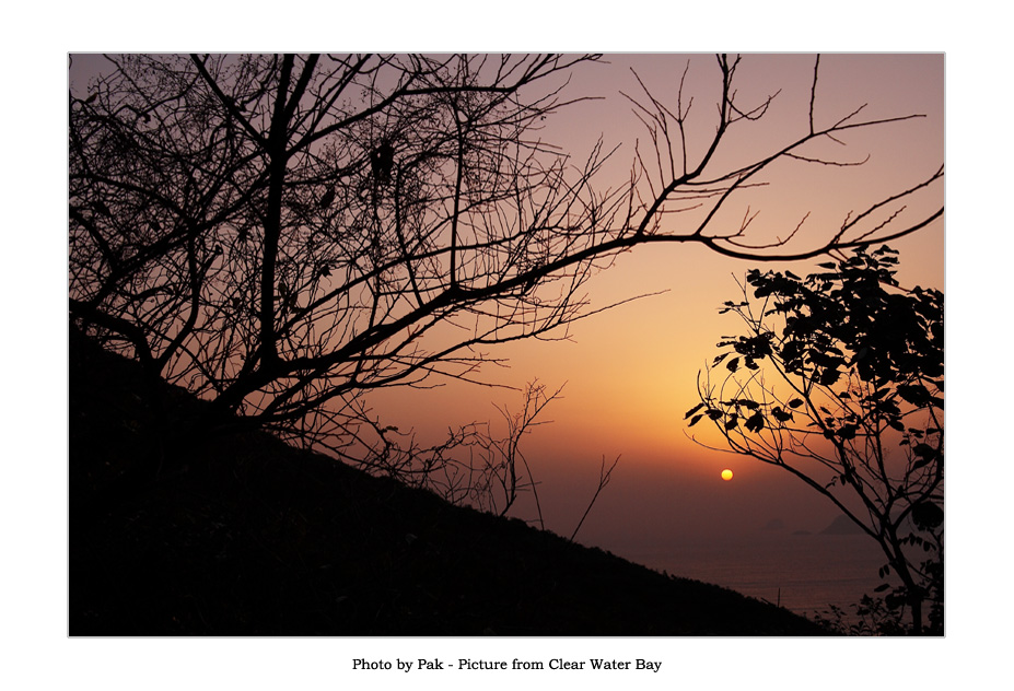 IMAGE: http://images4.fotop.net/albums4/photographer/070128/IMG_6110.jpg