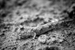 IMG_1037