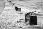 IMG_1067