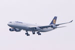 D-AIGY�@�@�@ �@�@Airbus A340-313�@�@�@�@Lufthansa Airline�]LH�^