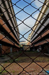 DSC_0124.
