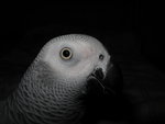 IMG_0055