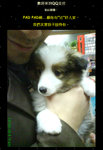 QW20080229