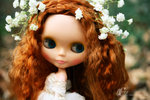 IMG_1574ab