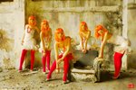 cookie_0016