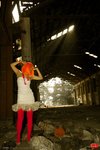 cookie_0019