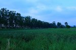 nEO_IMG_IMG_7601ck