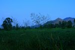 nEO_IMG_IMG_7609ck