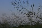 nEO_IMG_IMG_7612ck