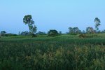 nEO_IMG_IMG_7652ck