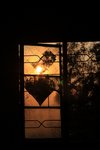 nEO_IMG_IMG_7731