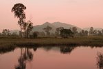 nEO_IMG_IMG_7836ck