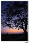 nEO_IMG_IMG_9144n