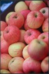 nEO_IMG_IMG_9312