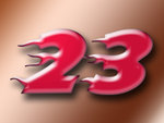 23