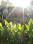 DSC04053