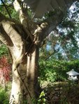 DSC04071