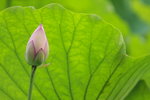 IMG_1864
