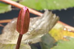 IMG_1876