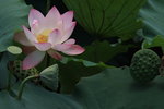 IMG_1886