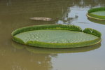 IMG_1911