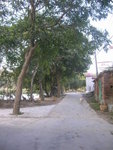 DSCN0127