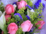 DSCN0395