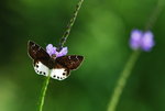 DSC_0176r_resize